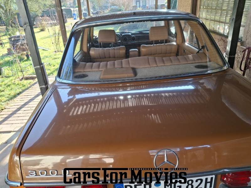 CarsForMovies | Mercedes Benz E123 1992 Deutschland Braun Beige Zivilfahrzeug Limousine Brandenburg 7494 Schiebedach Anhängerkupplung ahk