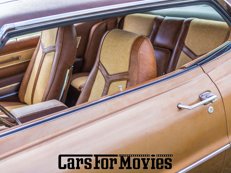 CarsForMovies | Ford Motor Company Thunderbird 1970 USA Braun Gelb Zivilfahrzeug Coupe DE - Sachsen 7674 patina