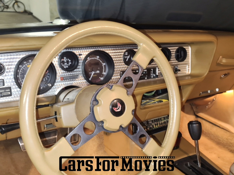 CarsForMovies | Pontiac Firebird TransAm 1979 USA Blau Braun Zivilfahrzeug Muscle Car CH - Zürich 7757 