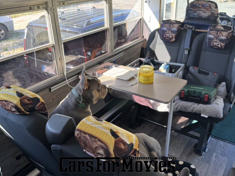 CarsForMovies | International Genesis-Navistar SBCV 3000 2003 USA Gelb Weiß Nutzfahrzeug Bus DE - Hessen 7847 
